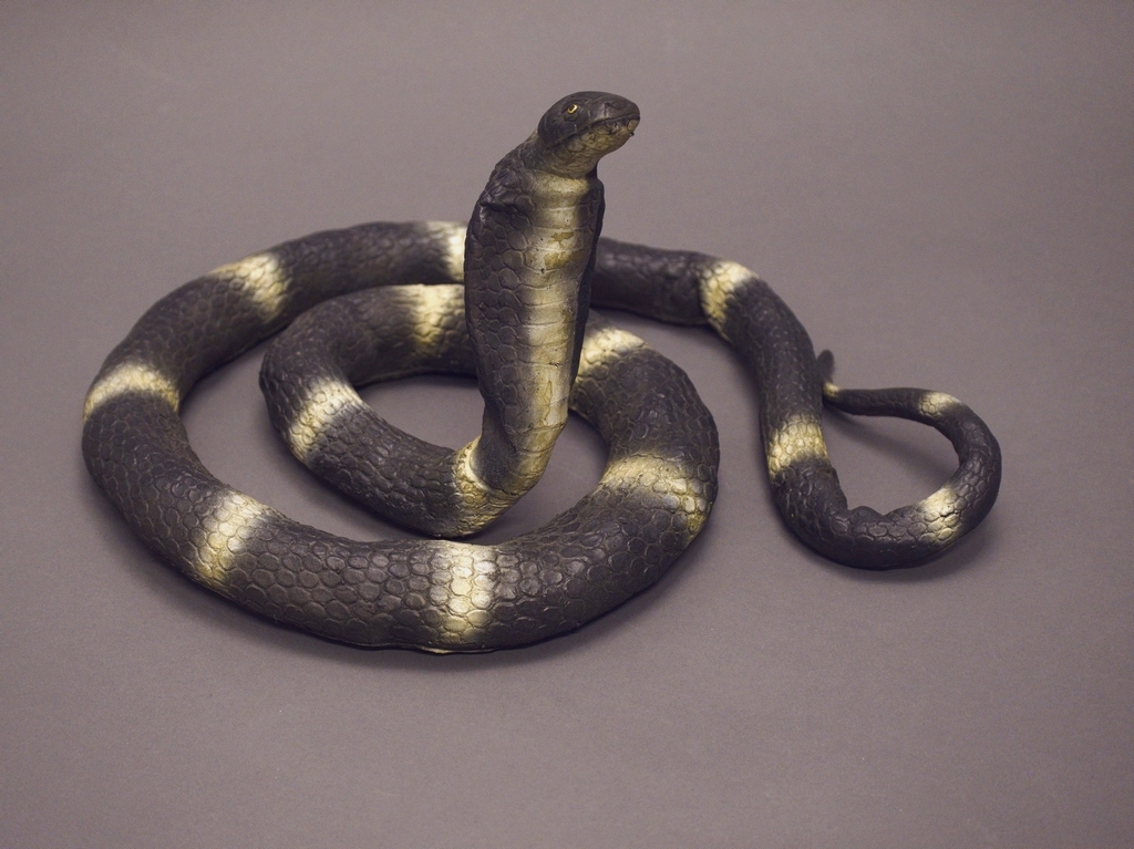 CASINO ROYALE
Stunt Snake from the opening scenes